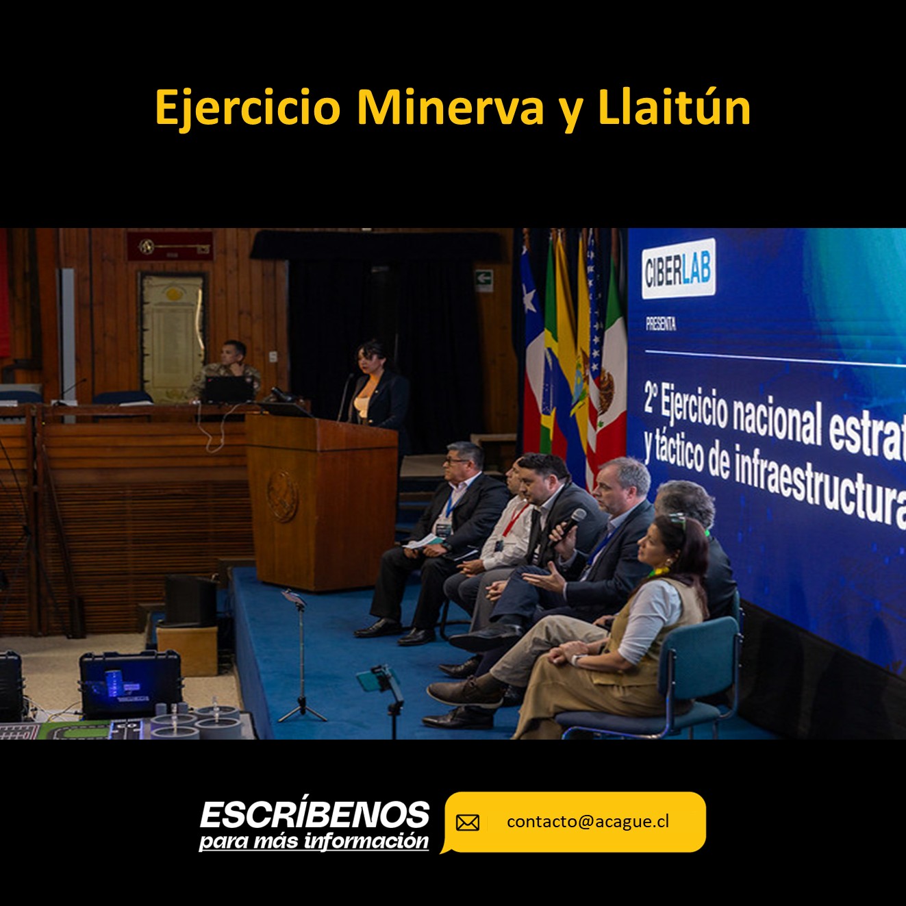 Ejercicio Minerva y Llaitun
